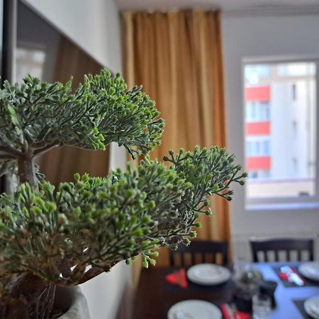 Aviliz Apartament Буштени Экстерьер фото