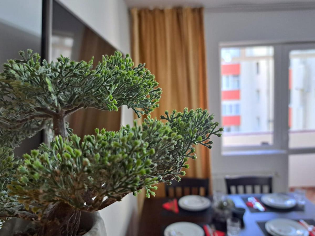 Aviliz Apartament Буштени Экстерьер фото