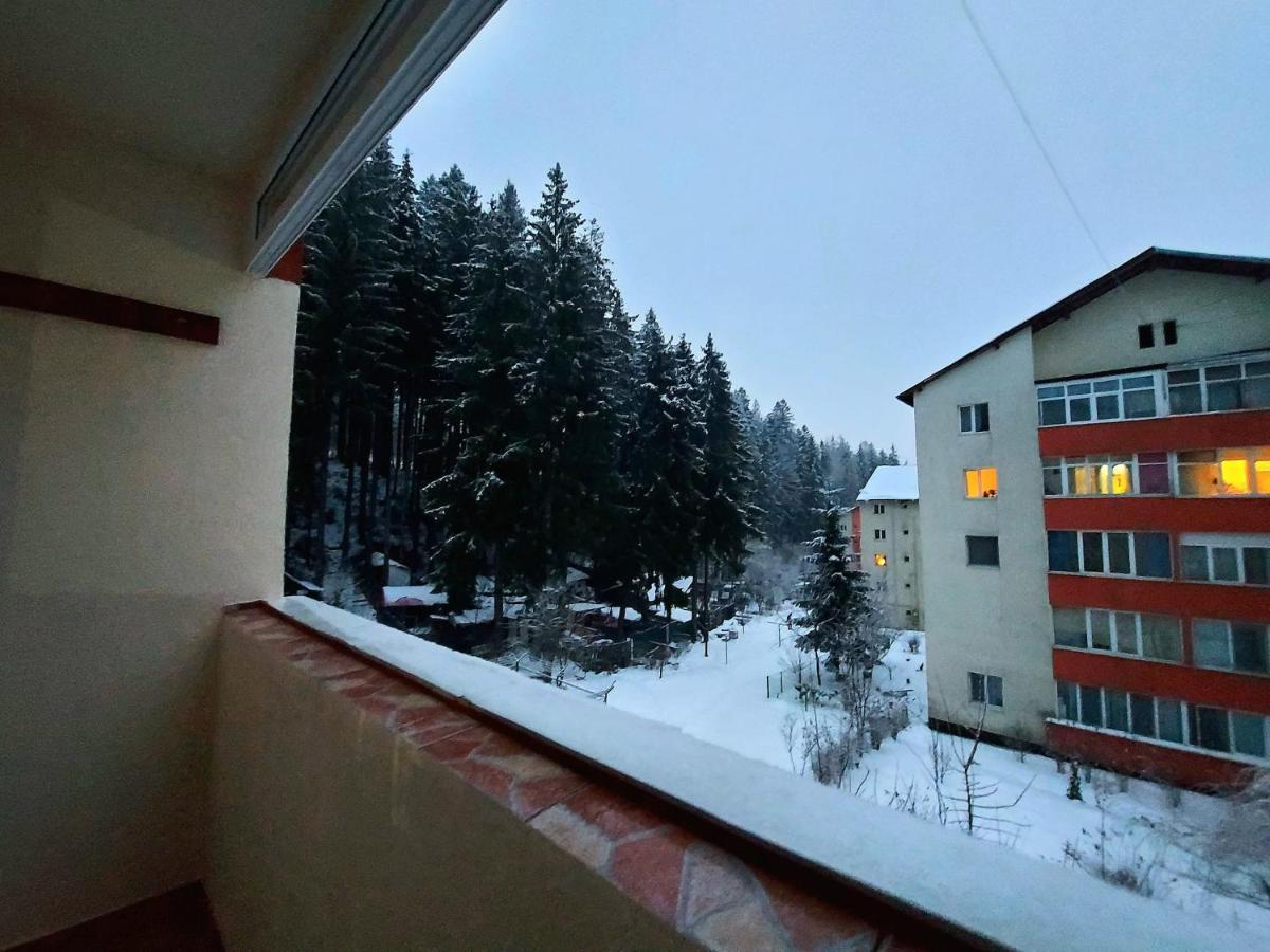 Aviliz Apartament Буштени Экстерьер фото