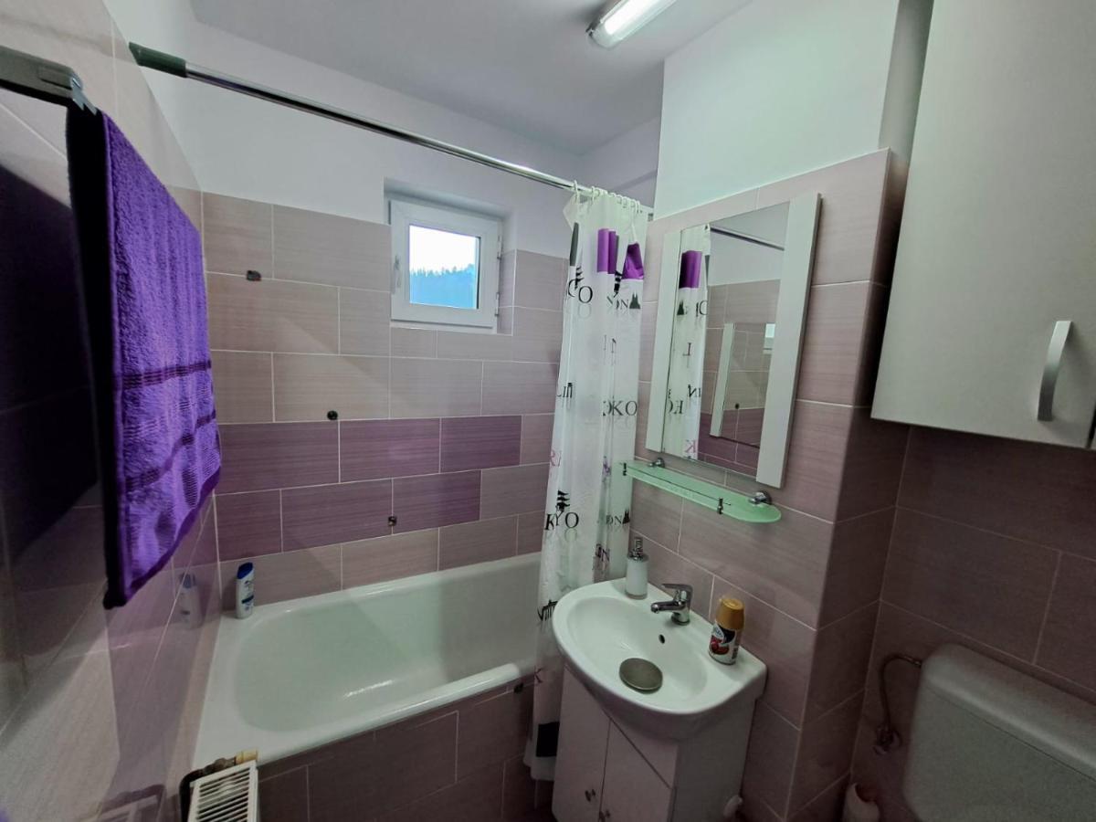 Aviliz Apartament Буштени Экстерьер фото