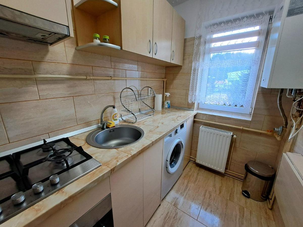 Aviliz Apartament Буштени Экстерьер фото