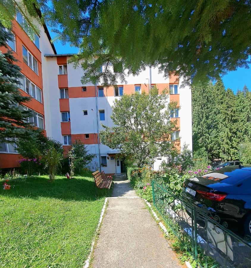 Aviliz Apartament Буштени Экстерьер фото