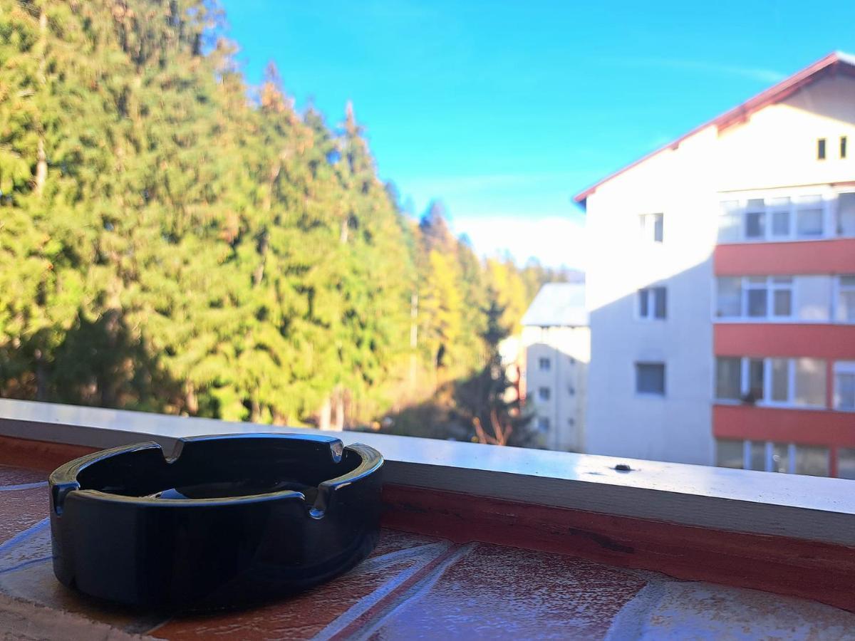 Aviliz Apartament Буштени Экстерьер фото