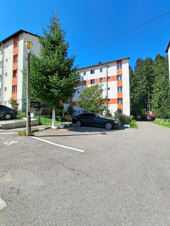 Aviliz Apartament Буштени Экстерьер фото
